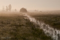 022_Biebrza - maj 2013